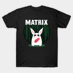 Matrix. Take the red pill T-Shirt